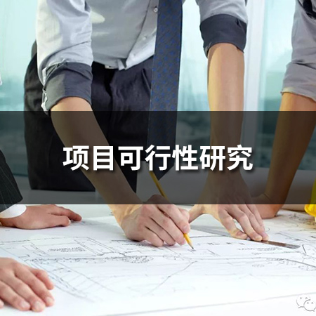 項目可行性研究