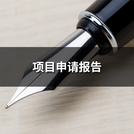項目申請報告